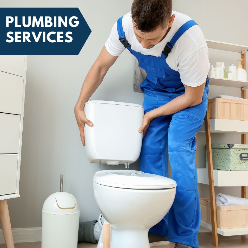 Plumbing Company in Apple River, IL